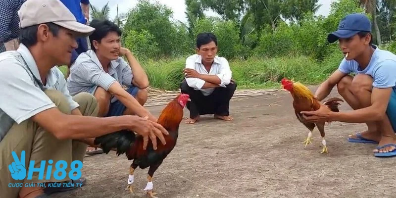 cach tha ga da cua sat giup nang cao ky nang